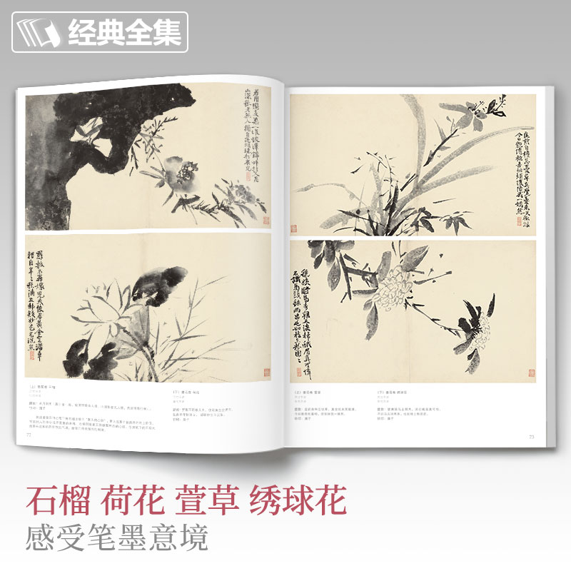 [正版]书籍徐渭画集高清大图