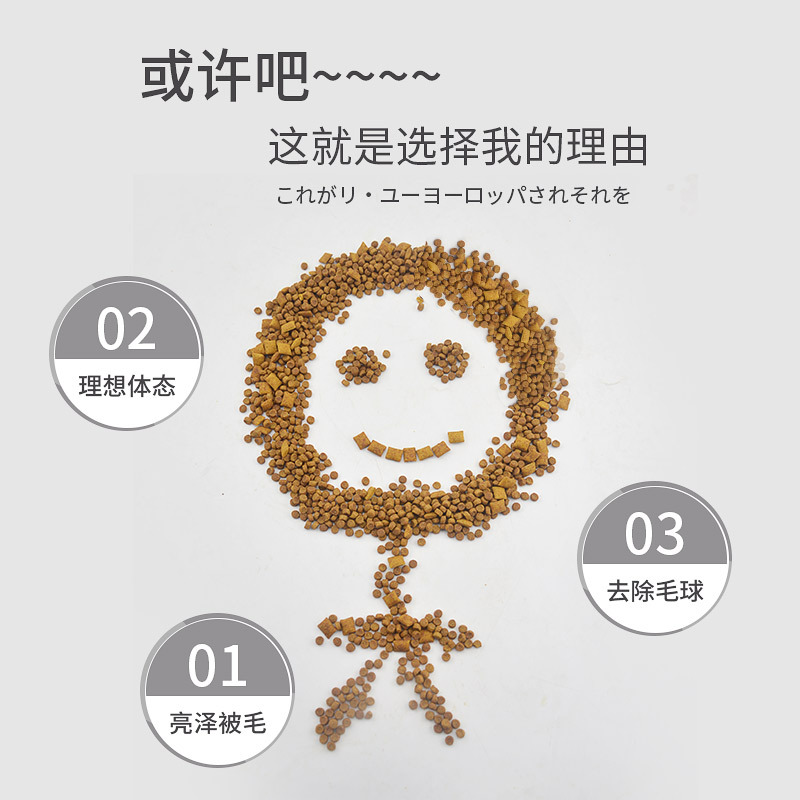伟嘉成猫猫粮香酥牛柳味 1.3kg