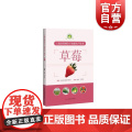 上海市果树全产业链生产技术：草莓 上海科学技术出版市