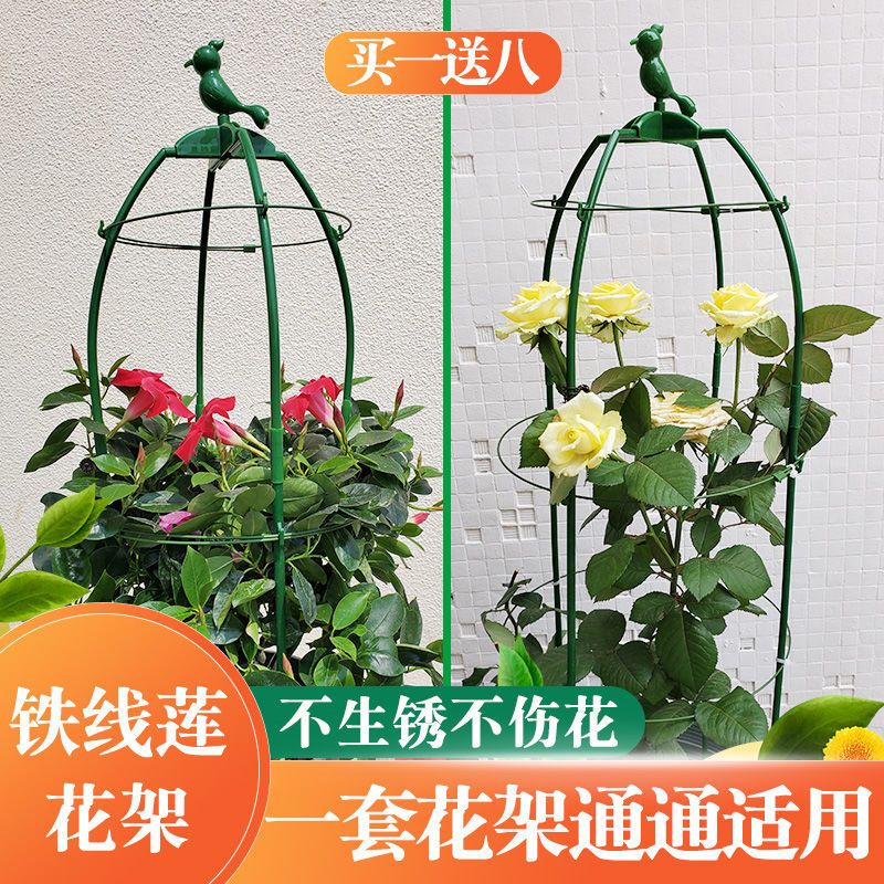 欧式爬藤花支架植物月季铁线莲紫藤支架攀爬花架阳台支撑架园艺