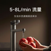 米家净水器Pro 双出水 1600G