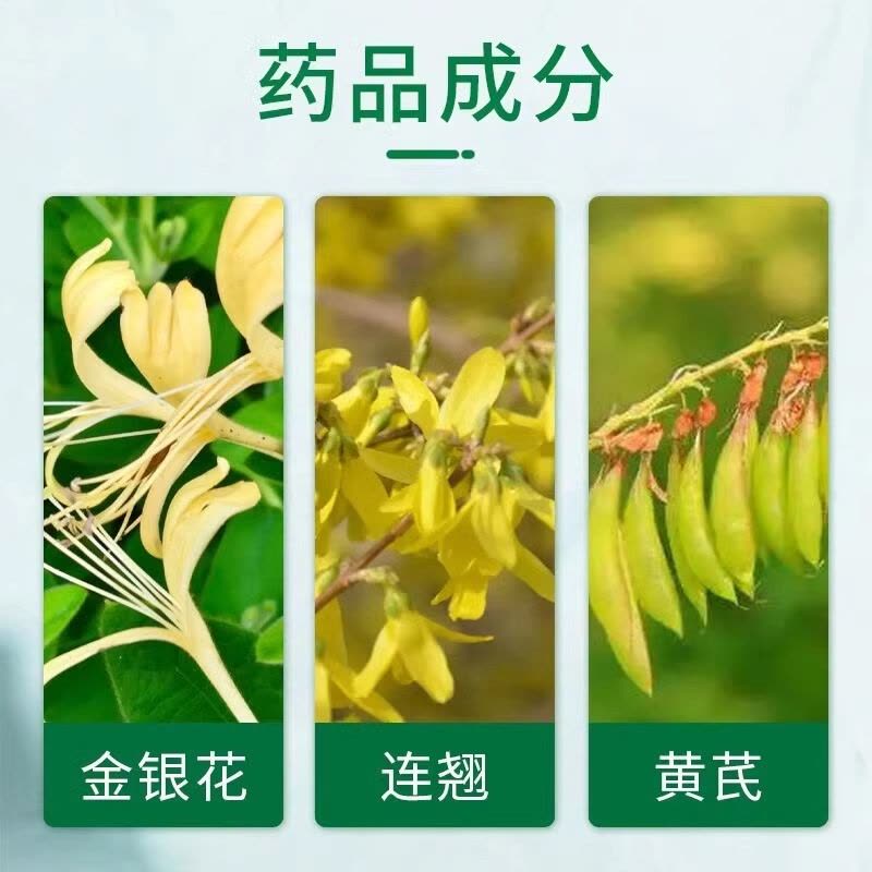 修正 复方金银花颗粒10袋 清热解毒凉血消肿 风热感冒药扁桃体炎咽炎 目痛牙痛及痈肿疮疖成人儿童用药图片