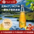 探味寒地100%山梨原汁NFC原果鲜榨320ml*6