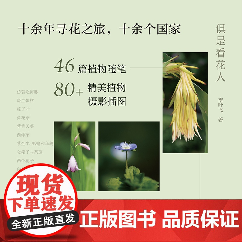 俱是看花人(百万粉丝“植物星球”创始人新作,零成本的生活美学提案,让你摆脱内耗)高清大图