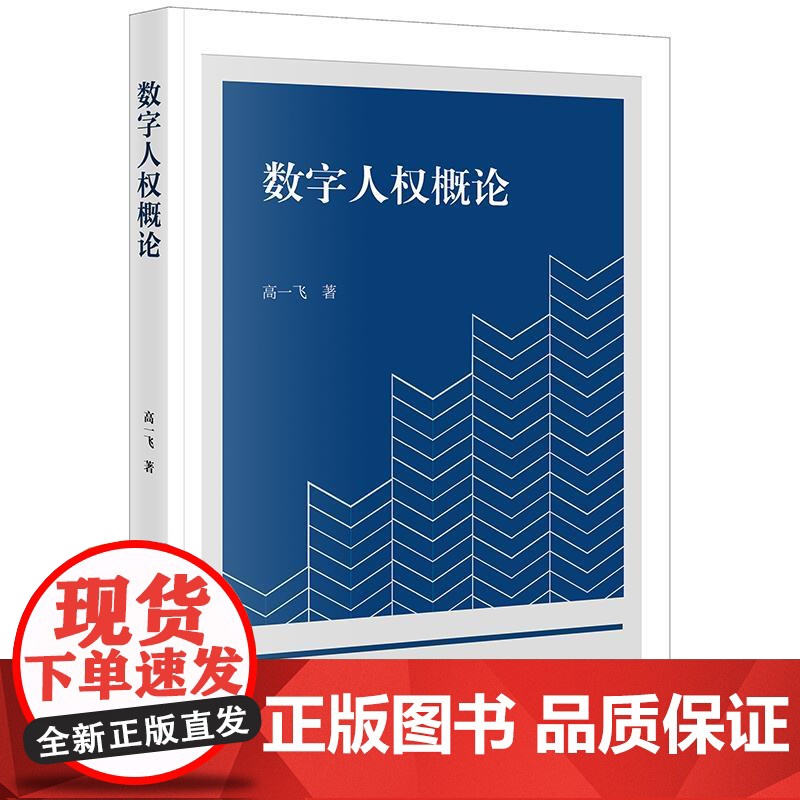 2025新书 数字人权概论 高一飞 著 法律出版社高清大图