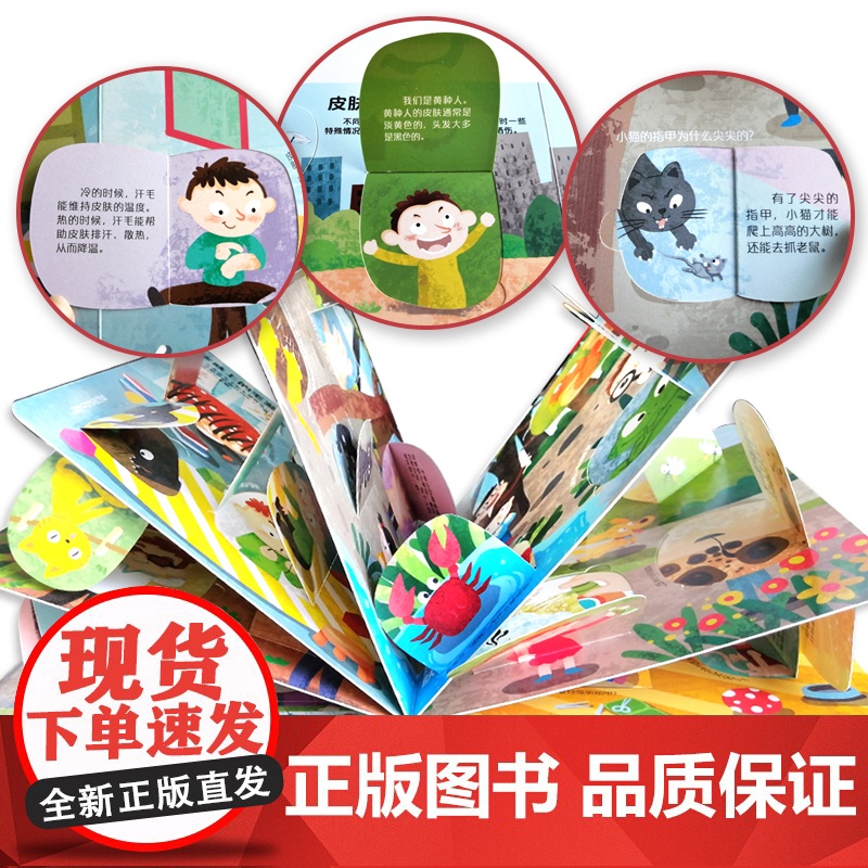 呦呦童 你问我答翻翻书揭秘皮肤 0-3-6岁宝宝3d秒懂人的皮肤的小百科 一问一答趣味阅读儿童绘本益智早教启蒙认知科普故高清大图