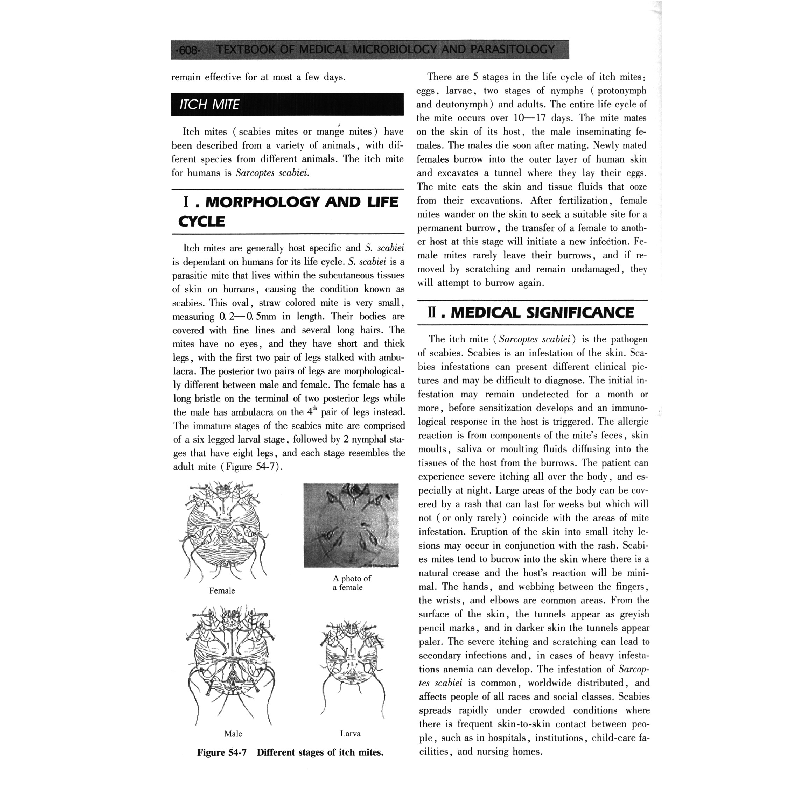 醉染图书医学微生物学与寄生虫学(英文改编版)9787030165787高清大图