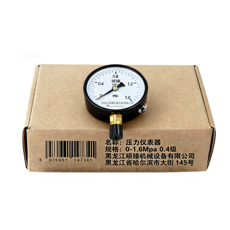 硕臻 压力仪表器 0-1.6Mpa 0.4级 块