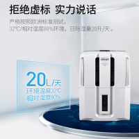 意大利德龙(DeLonghi)除湿机 DDSE20 家用办公室20L/天大除湿量 空气净化抽湿机干燥机吸湿器