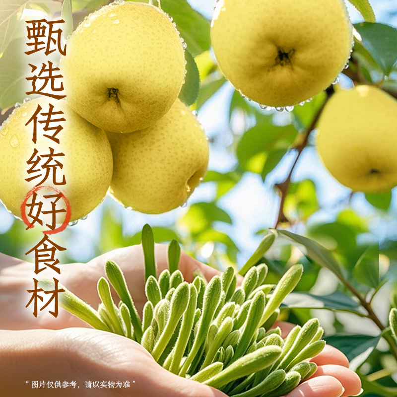[新品]元气森林好自在500ml*12瓶金银花雪梨水轻泡煮植物饮料高清大图