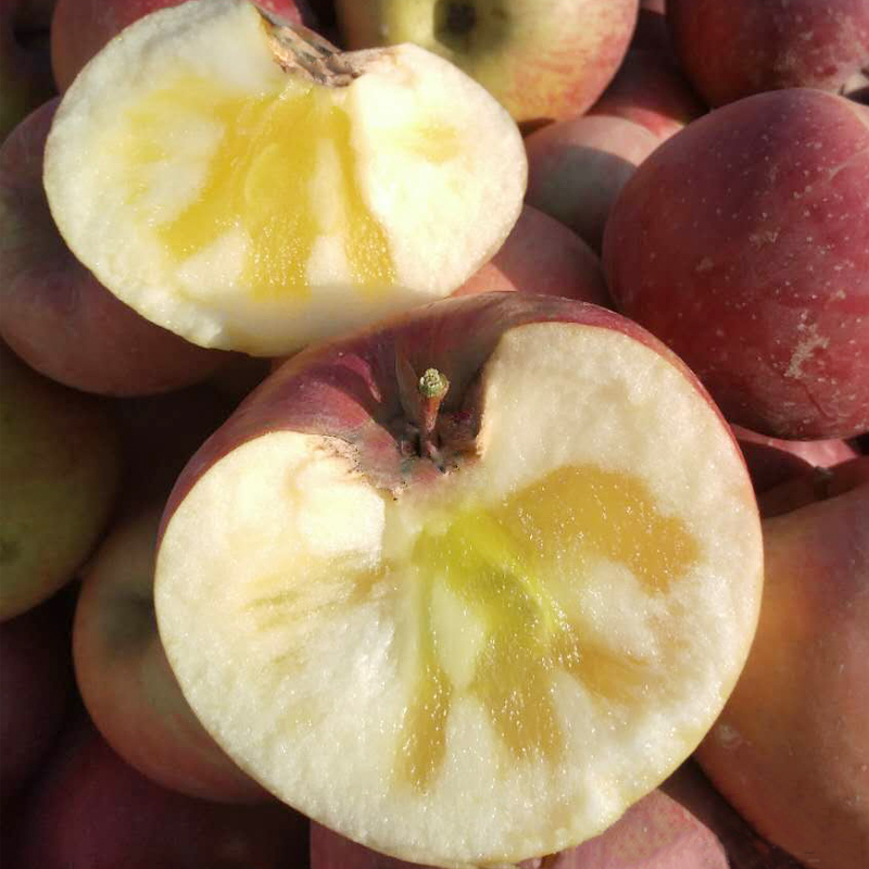 昭通丑苹果冰糖心苹果水果新鲜整箱10斤红富士当季嘎啦阿克苏