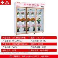 埃利斯(AILISI)鲜花保鲜柜XC-1200SL风冷保鲜柜风冷商用展示柜冷藏柜鲜花植物柜花店立式陈列柜