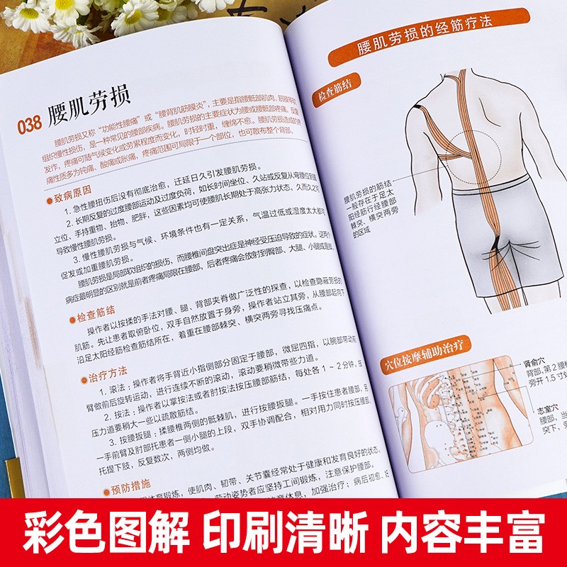 [官方正版]十二经络调筋术 [正版]图解十二经络调筋术十二经筋疏通法全图解一学就会50种经筋病症的康复训练12种经筋功用高清大图