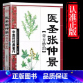 医圣张仲景 【正版】全4册中医书籍大全药王孙思邈+神医华佗+医祖扁鹊+医圣张仲景中医基础理论本草纲目黄帝内经中医四思华内
