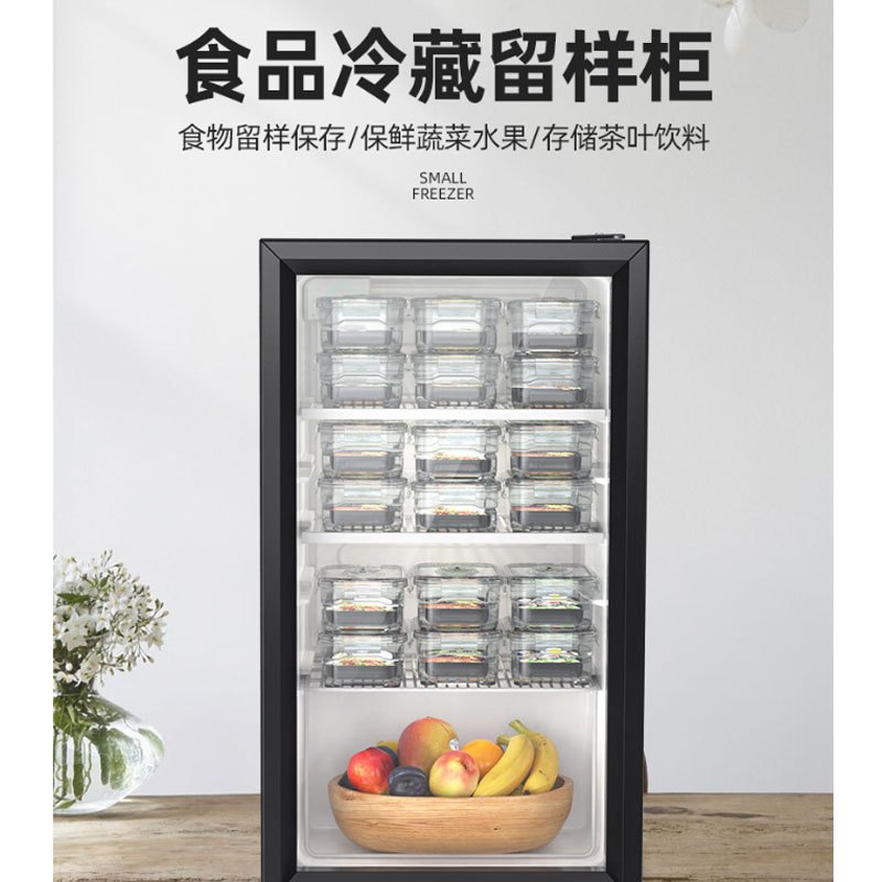 乐创(lecon)商用食品留样柜110L 饮料冷柜商用冷藏保鲜展示柜 LC-SC-110