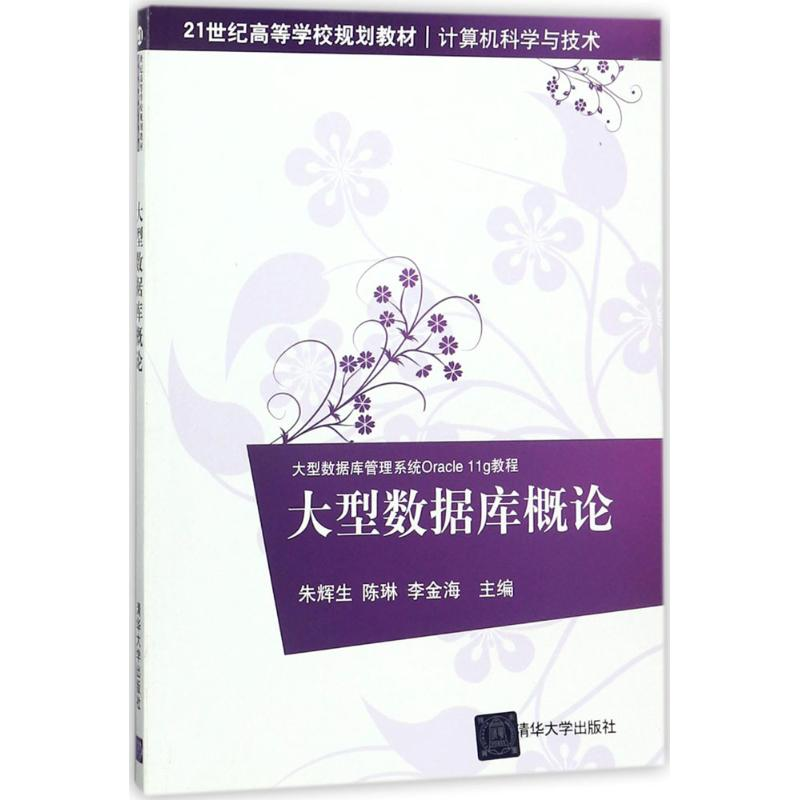 正版新书]大型数据库概论朱辉生 等9787302492498高清大图