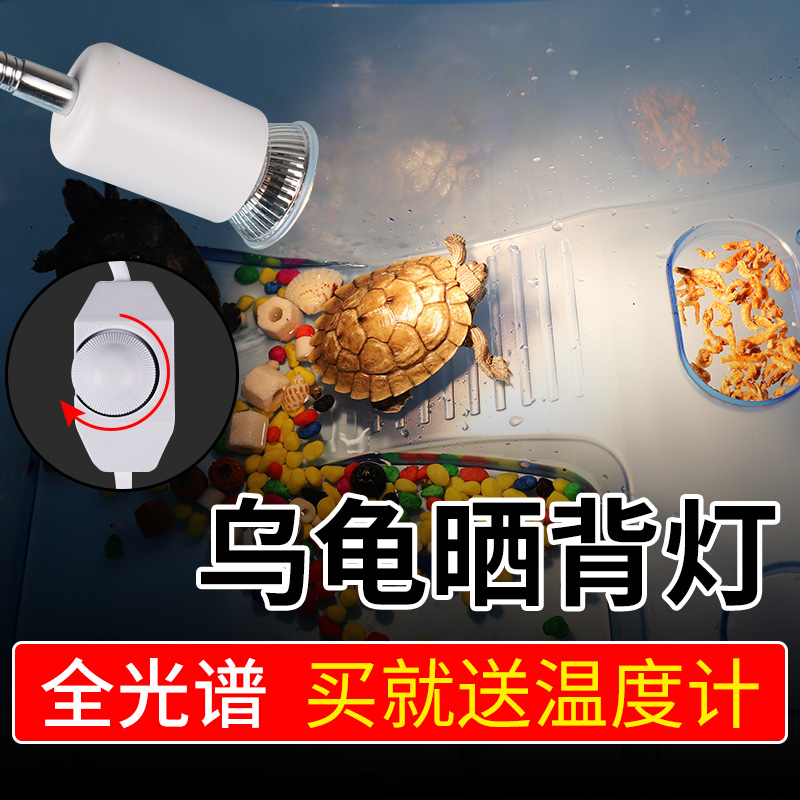 乌龟晒背灯太阳灯龟灯乌龟缸爬宠陆龟多角度调节加热保温灯高清大图