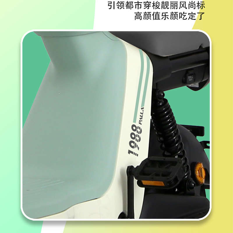 派乐/PALLA 乐颜 成人48V铅酸电池男女代步新大洲助力电动自行车 素颜绿