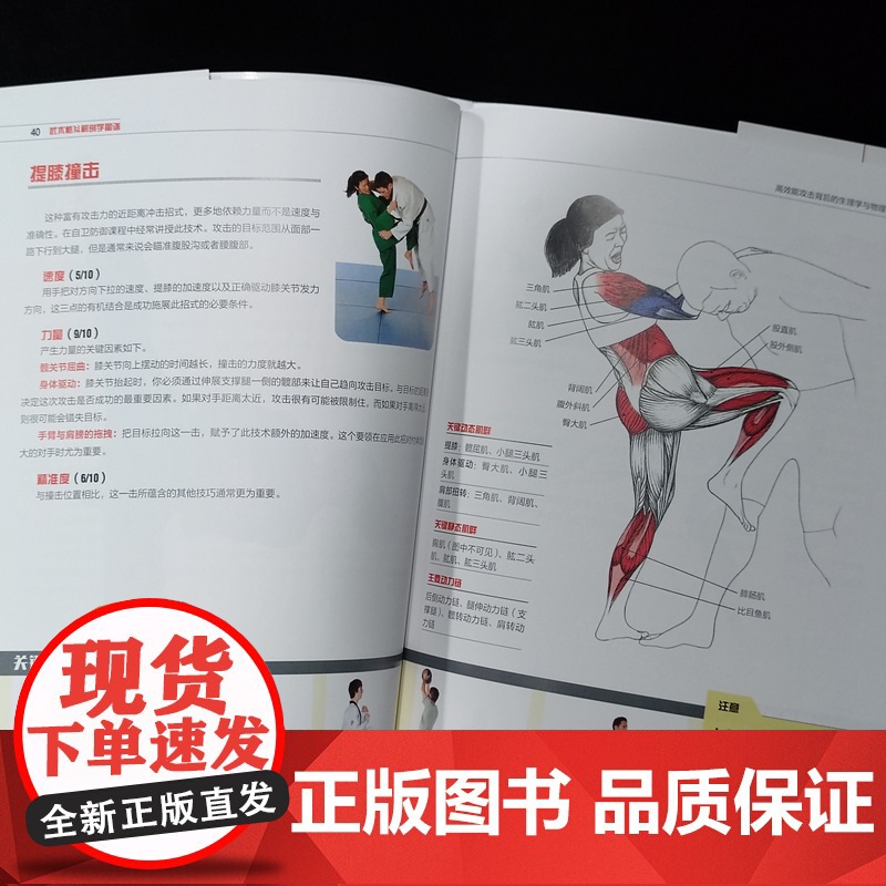 武术格斗解剖学图谱 高效能攻击背后的生理学与物理学 传统武术 合气道 跆拳道 柔道 空手道 泰拳 剑道 北京科学技术高清大图