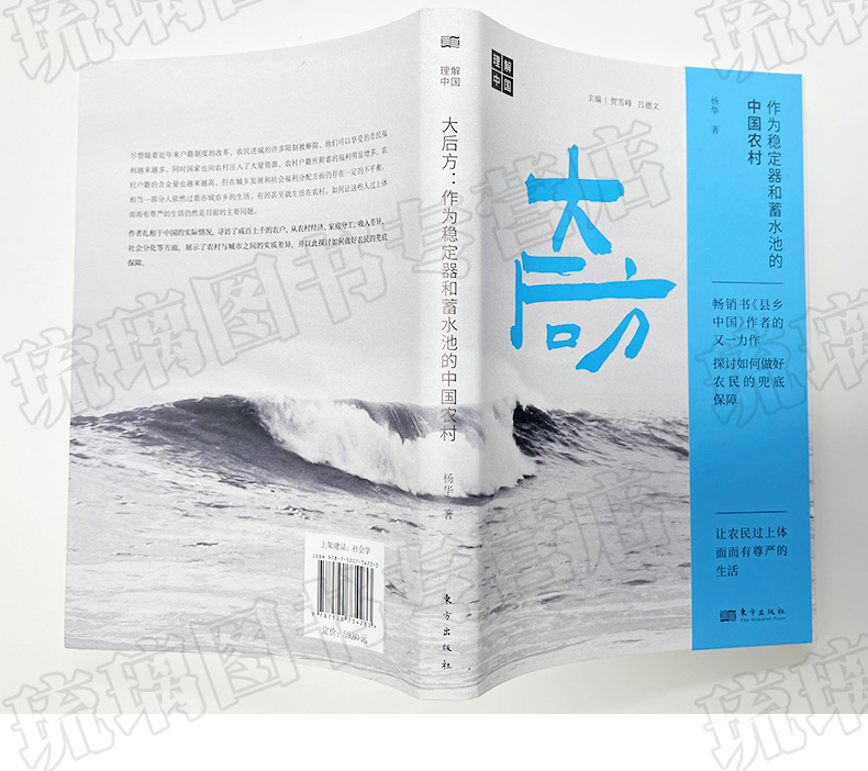 [正版]大后方:作为稳定器和蓄水池的中国农村 县乡中国作者杨华又一力作 三农问题 乡村振兴 如何做好农民的兜底保障 东高清大图