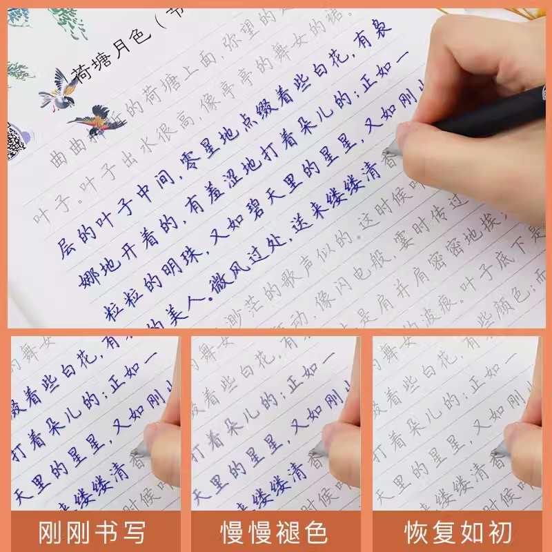 [醉染正版]墨点字帖落字有声 荆霄鹏行楷字帖落字有声恋上散文初中生高中生女生字帖大学生初学者硬笔书法练字练字帖成人钢笔字高清大图
