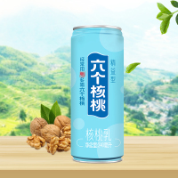 W养元六个核桃 精益型六个核桃核桃乳240ml*20整箱装 新老包装交替发货
