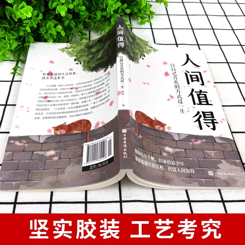 [正版]抖音同款人间值得 以自己喜欢的方式过一生 万物可期人间值得的书 青少年励志书籍 人生哲学治愈心灵的书 自我实现高清大图