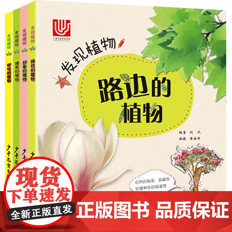 发现植物共4册 好吃的植物/好看的植物/路边的植物/墙角的植物 植物百科 科普读物 自然 科普百科启蒙 少年儿童出版社高清大图