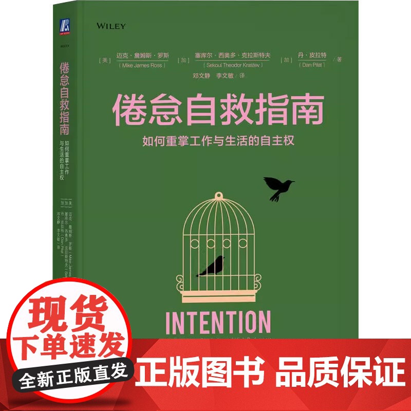 倦怠自救指南 如何重掌工作与生活的自主权 迈克·詹姆斯·罗斯 著 心理学高清大图