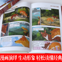 6册全套漫画版混血豺王沈石溪动物小说全集漫画书正版7-12岁儿童文学小学生二年级故事书连环画三年级课外书少儿绘本故事