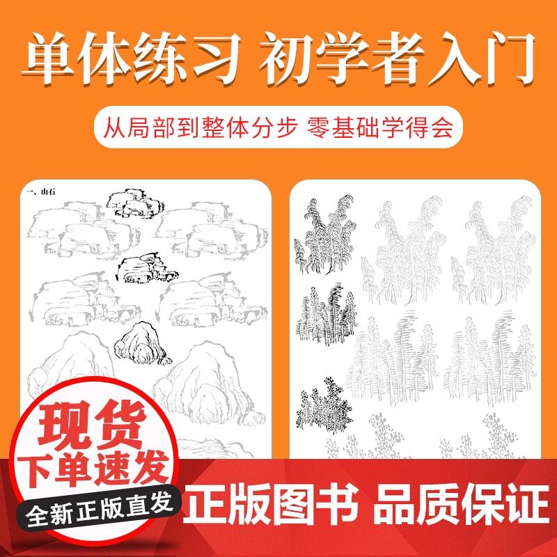 中国画白描入门描摹本国画工笔花卉人物美术套装画本工具描红书初学者画画临摹画册毛笔绘画练习教材高清大图