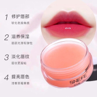 雪玲妃（SNEFE）睡眠护唇膜淡化唇纹去角质去死皮防干裂唇色补水保湿润乳霜状;唇膏