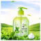 六神 绿茶 清爽洗手液 500ml(瓶)