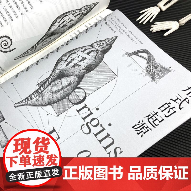 形式的起源 克里斯托弗威廉斯浙江教育出版社高清大图