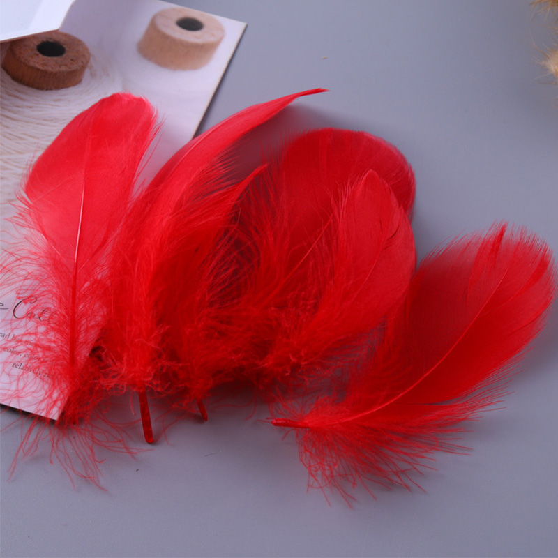 金丝莉 羽毛礼炮 JB-2509高清大图