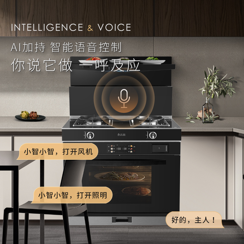 志高(CHIGO)JJZT-V9-2语音体感蒸烤炖炸一体集成灶天然气+900MM超声波清洗集成水槽洗碗机集成厨电套装
