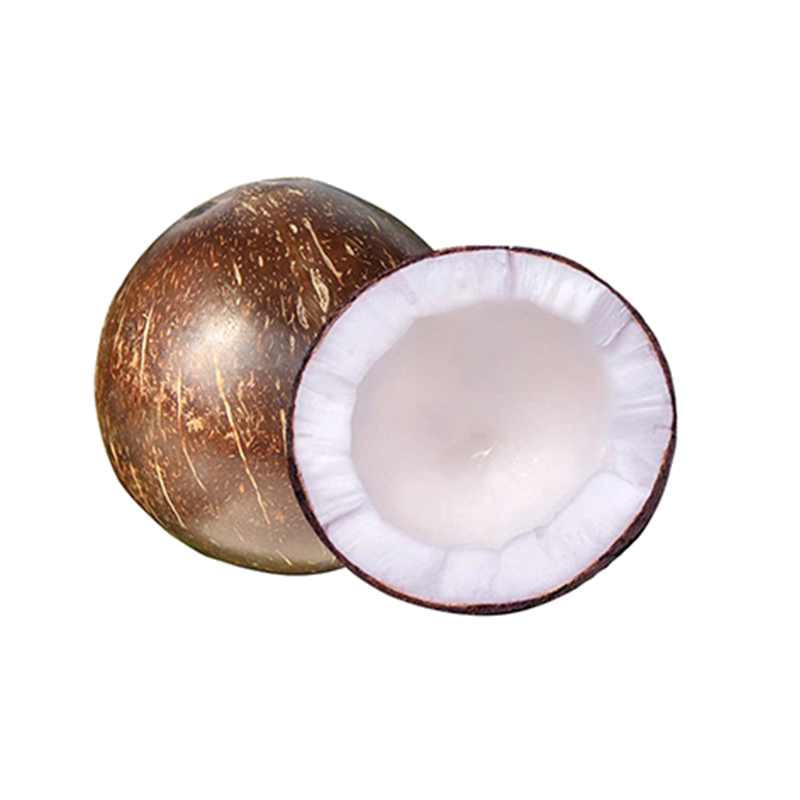 西沛生鲜海南小椰皇热带特产海南老椰子6个装黑壳椰皇西沛