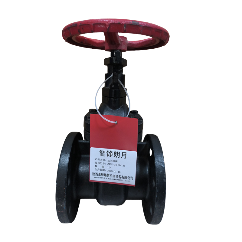 智铮朗月 法兰闸阀 Z45T-16 DN125 个高清大图