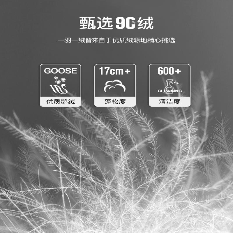 [商场同款-极寒]鸭鸭19新中长款连帽羽绒服男鹅绒外套A-621319