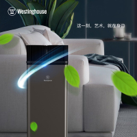 西屋(Westinghouse)空气净化器AW-6600T 防雾霾除甲醛PM2.5 除粉尘二手烟 适用卧室家用办公氧吧