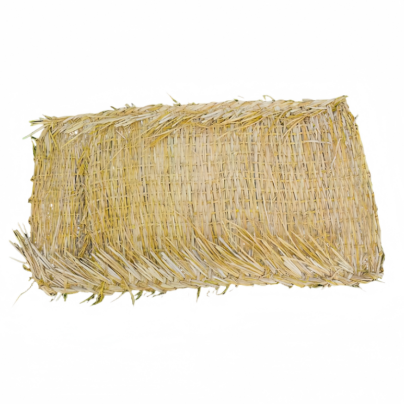 鑫龙都高清大图