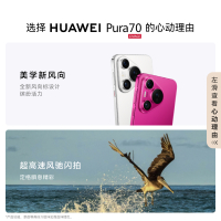 华为/HUAWEI Pura70 12GB+512GB 北斗卫星消息版 雪域白 超高速风驰闪拍 第二代昆仑玻璃 双超级快充 华为P70智能旗舰手机