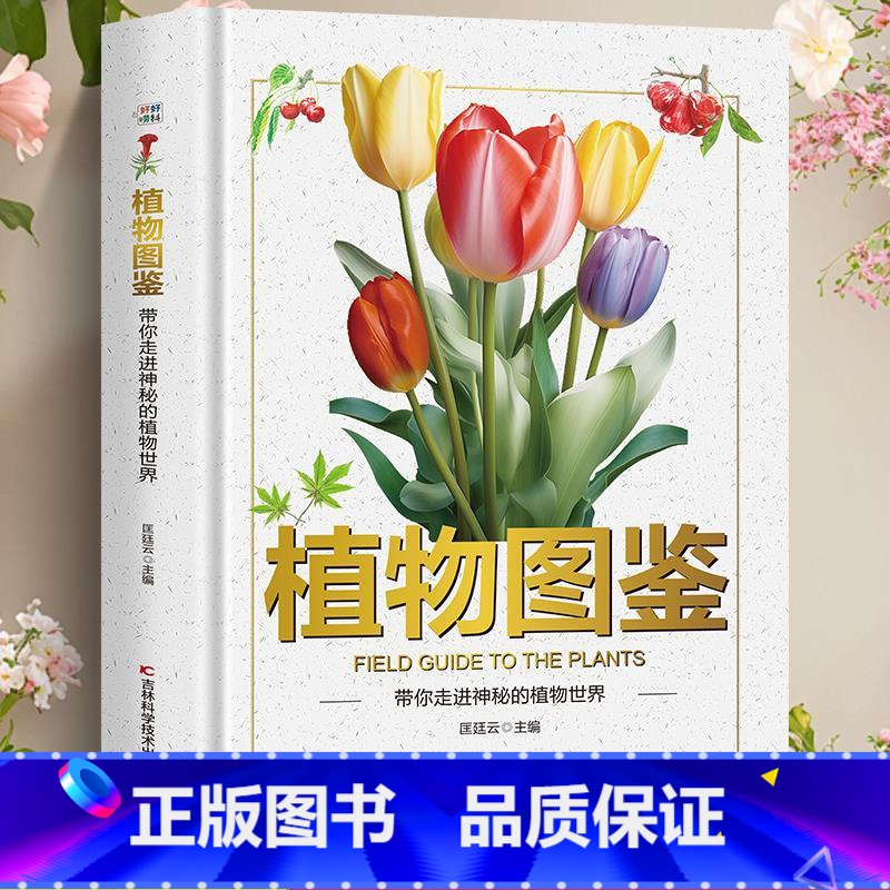 【单本】植物图鉴 【正版】海洋图鉴带你畅游神奇的海洋世界精装硬壳儿童百科全书图鉴幼儿读物科学绘本故事6-12岁小学生科普