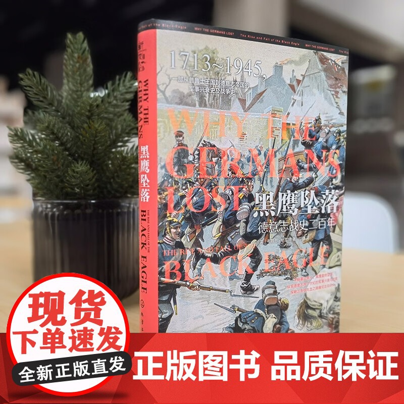 黑鹰坠落 德意志战史二百年 布赖恩·佩雷特 著 军事高清大图