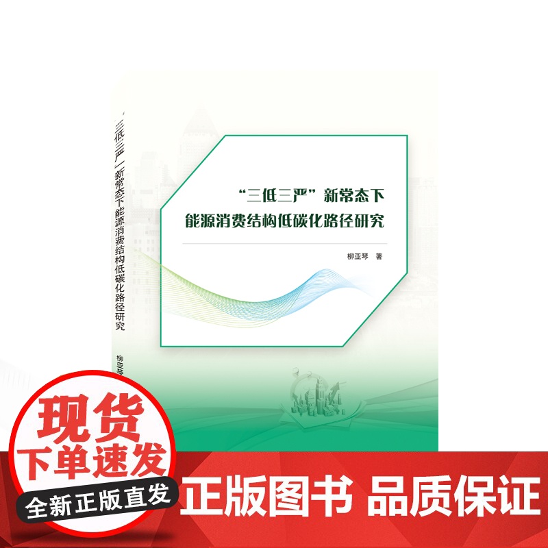 “三低三严”新常态下能源消费结构低碳化路径研究高清大图
