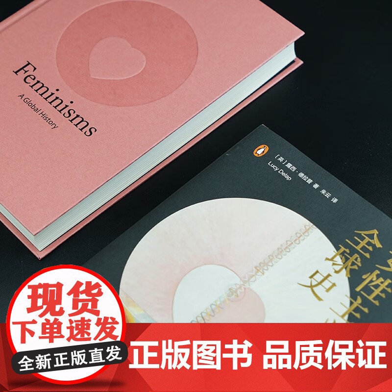 女性主义全球史 露西·德拉普 著 文化研究高清大图