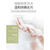 朵拉朵尚皂面部洗脸背全身祛痘清洁男士去螨虫海盐硫磺香皂女 自搭配2块（送起泡网*2+皂拖*2）