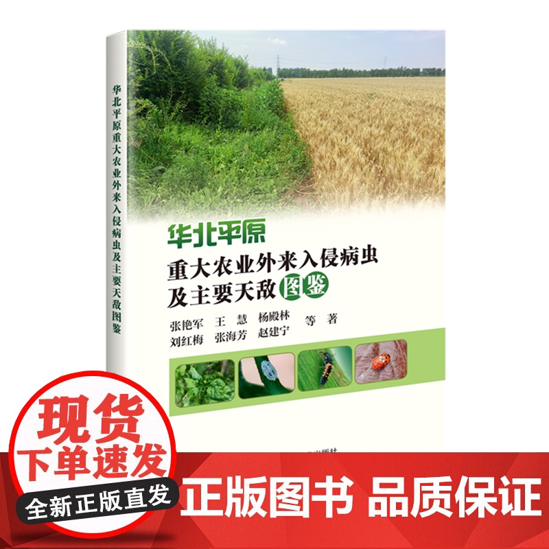 华北平原重大农业外来入侵病虫及主要天敌图鉴 9787511669933 中国农业科学技术出版社高清大图