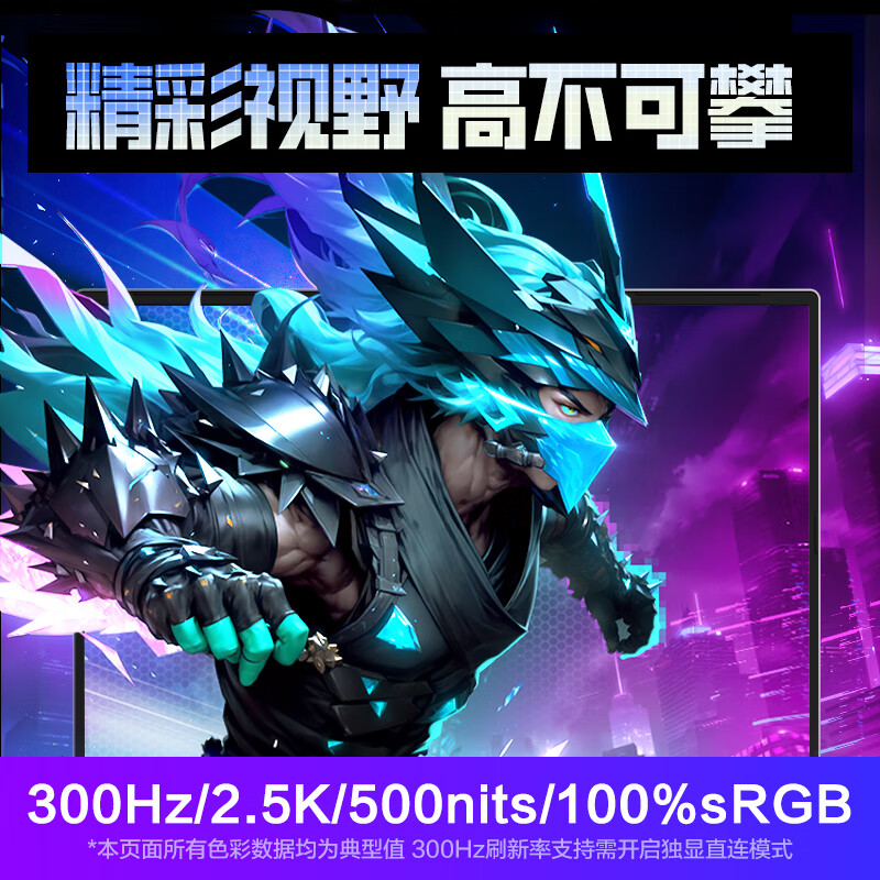 机械革命(MECHREVO)极光X 潮玩版 16英寸游戏本笔记本电脑 定制(i7-14650HX 64G 1T RTX5060 2.5K屏 300Hz 灰)高清大图