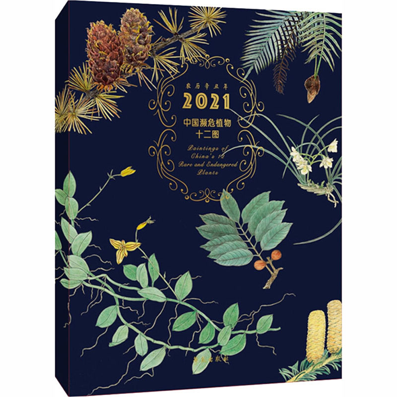 正版新书】中国濒危植物十二图 第五辑(2021年台历)张浩 著9787